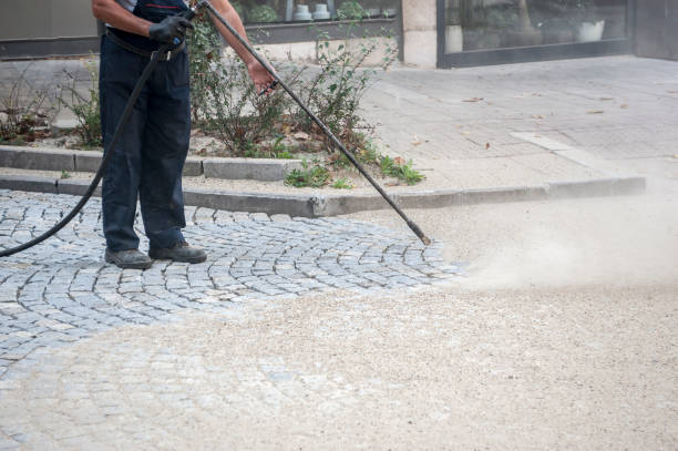 Best Driveway Pressure Washing  in Palm Valley, FL